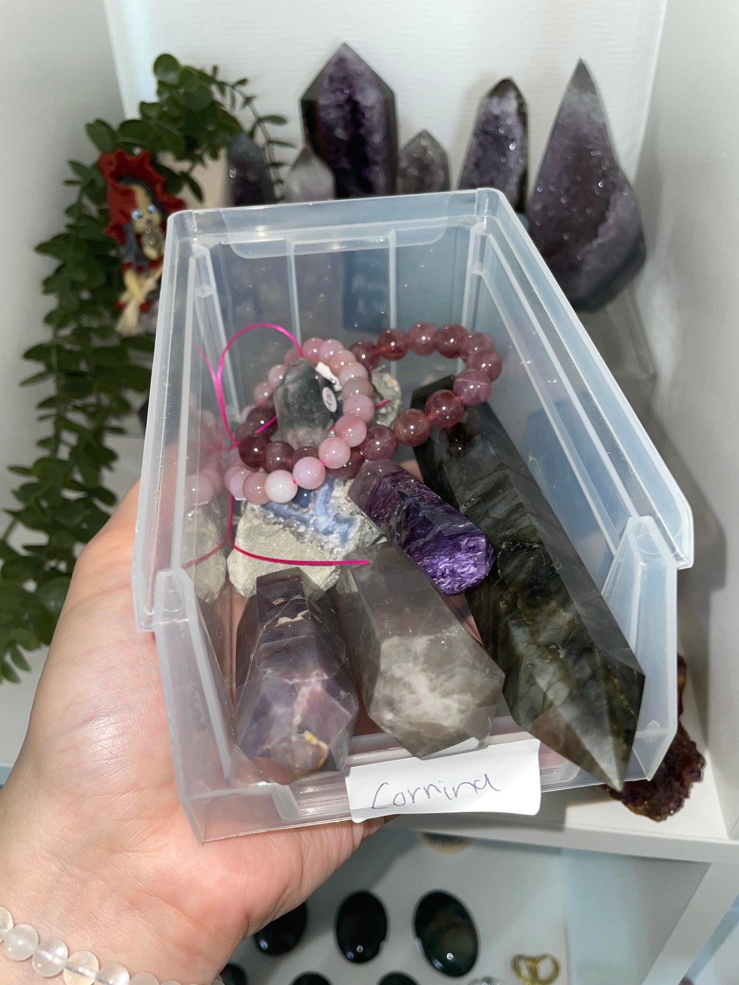 Corrina Crystal live claims