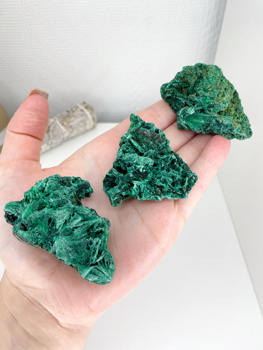 Small / Medium Silky Malachite Specimens From The Congo