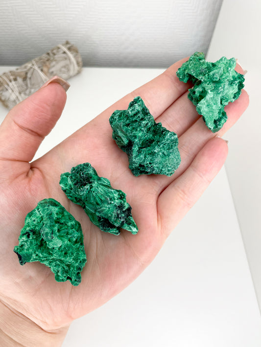 Small Silky Malachite Specimens From The Congo